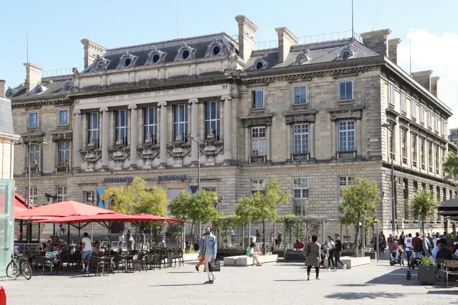 Top 5 des facultés de Bordeaux pour les métiers du vin et de la tech
